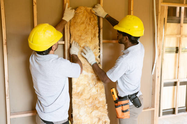 Best Commercial Insulation Services  in Sully Square, VA